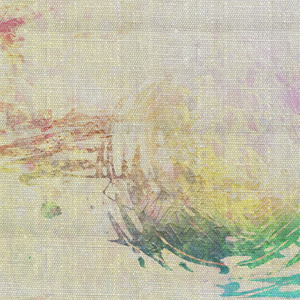 印度丰满美女BBw
